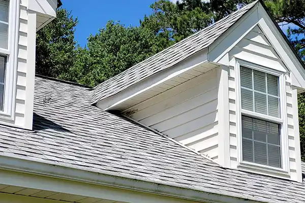 Roof Cleaning
